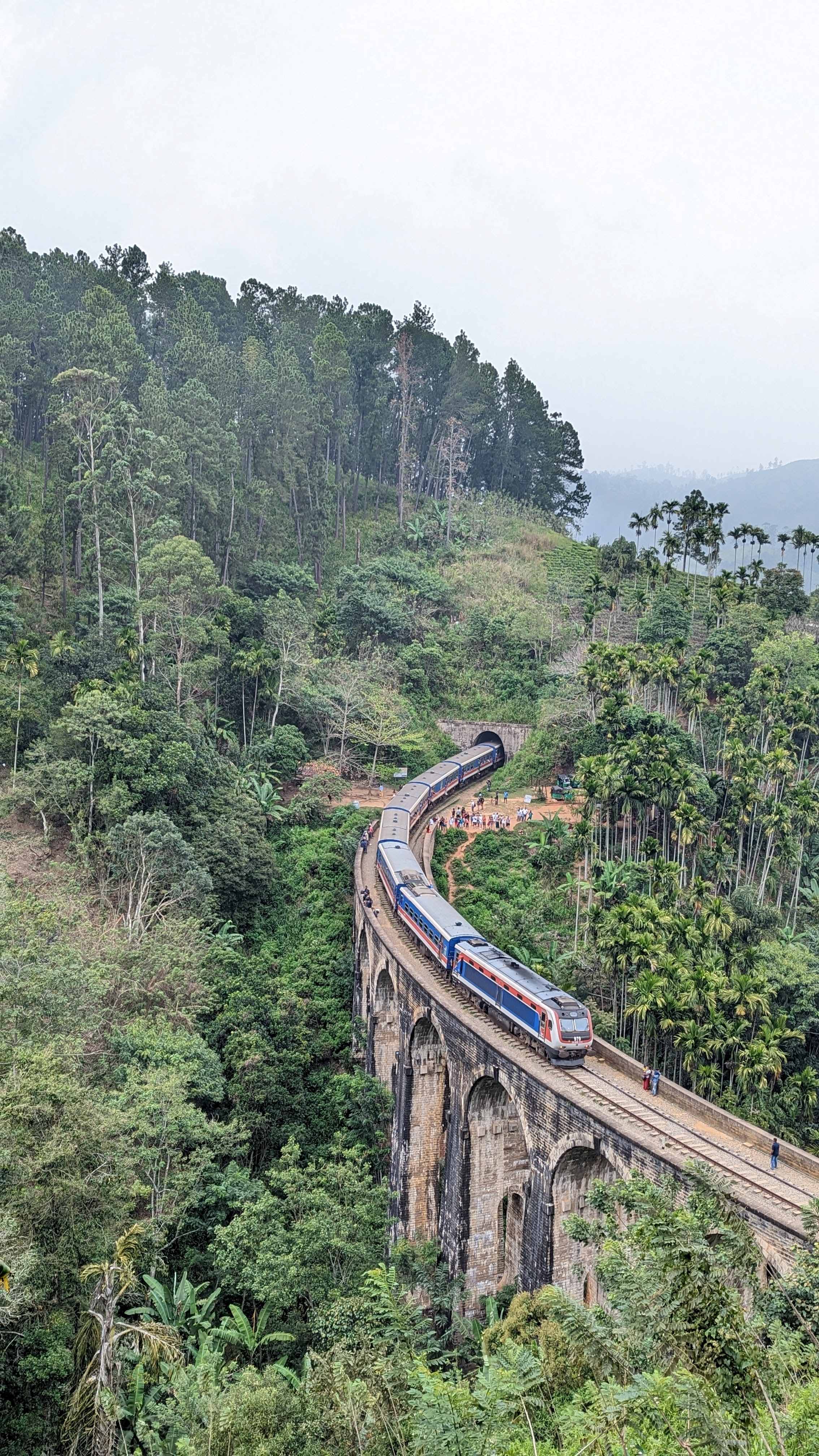 View of Nine Arches Bridge in Ella with a train crossing from a cafe on the hill.