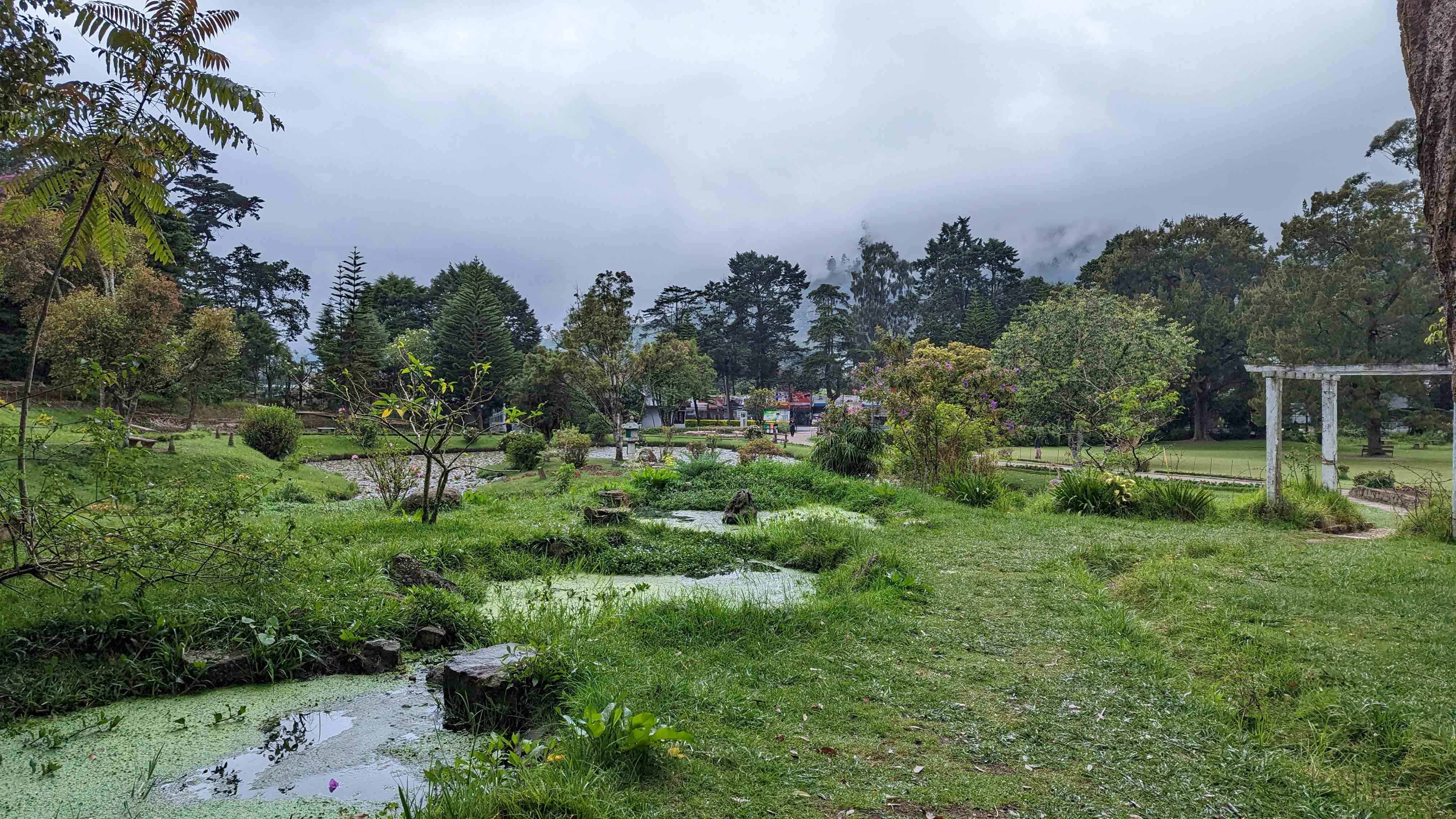 Victoria Park in Nuwara Eliya with open green space, flowers, trees, little ponds of water, and a wooden canopy.