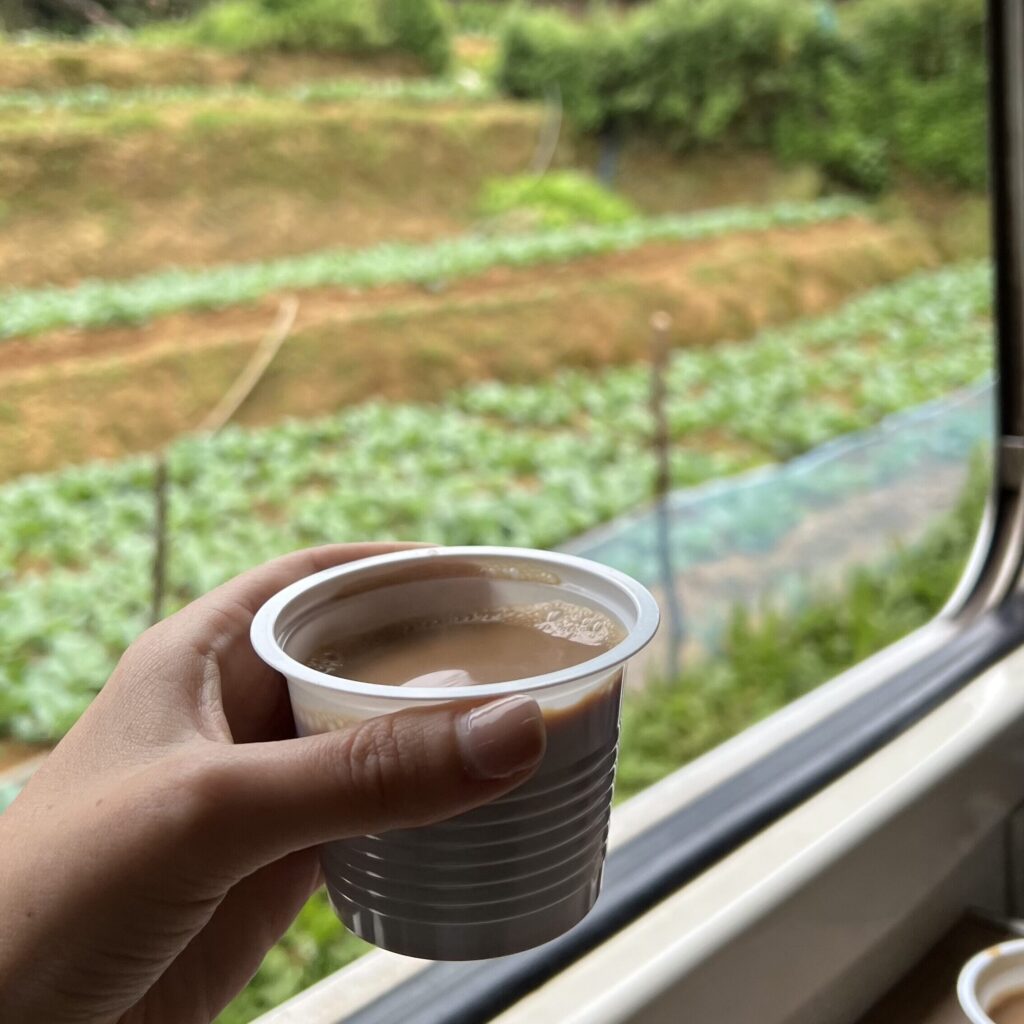 Person holding a cup of chai tea at the window of a train in Sri Lanka.