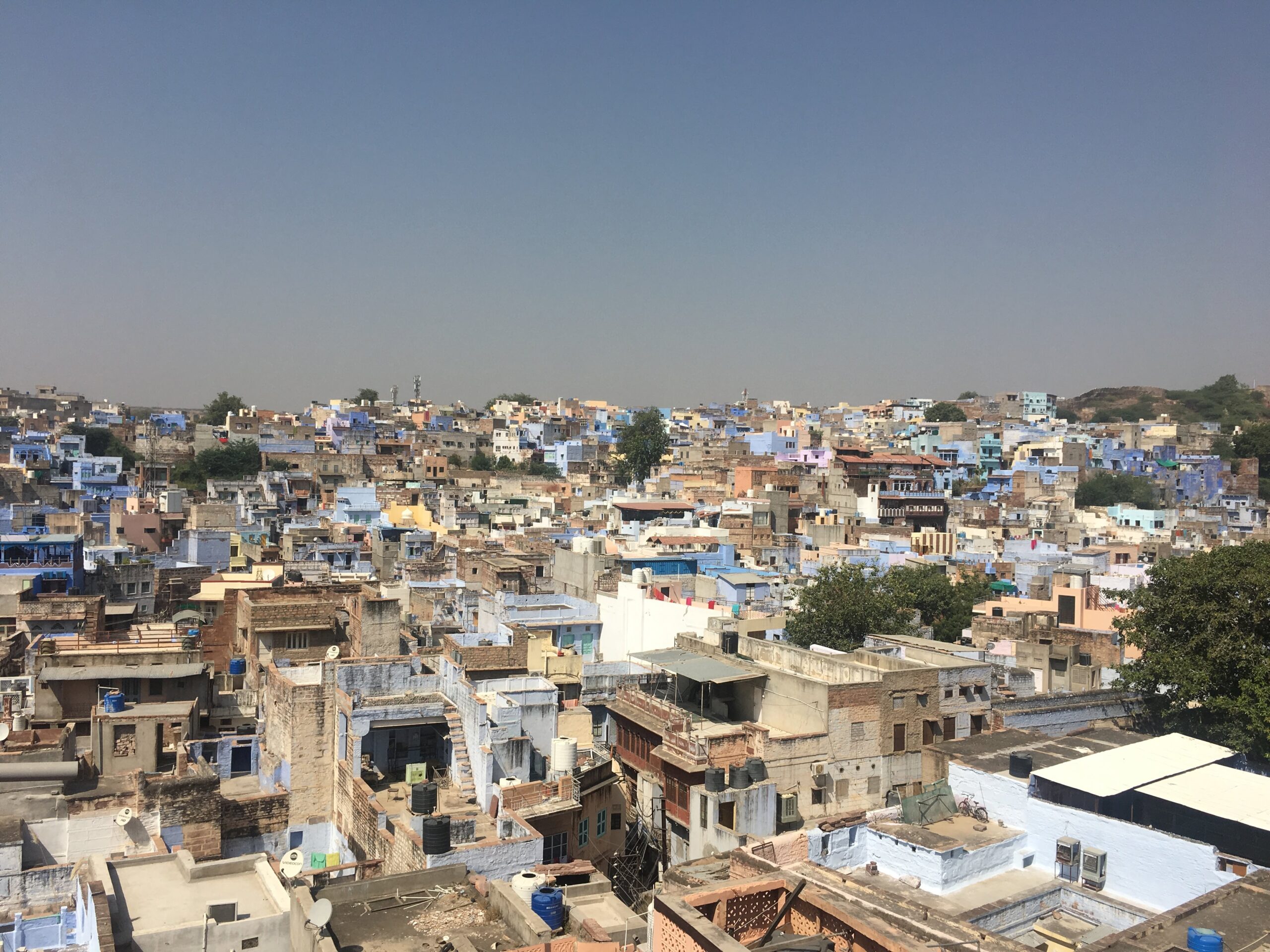 A sweeping rooftop view of Jodhpur. Small buildings nestled together with almost every other one painted a light blue.