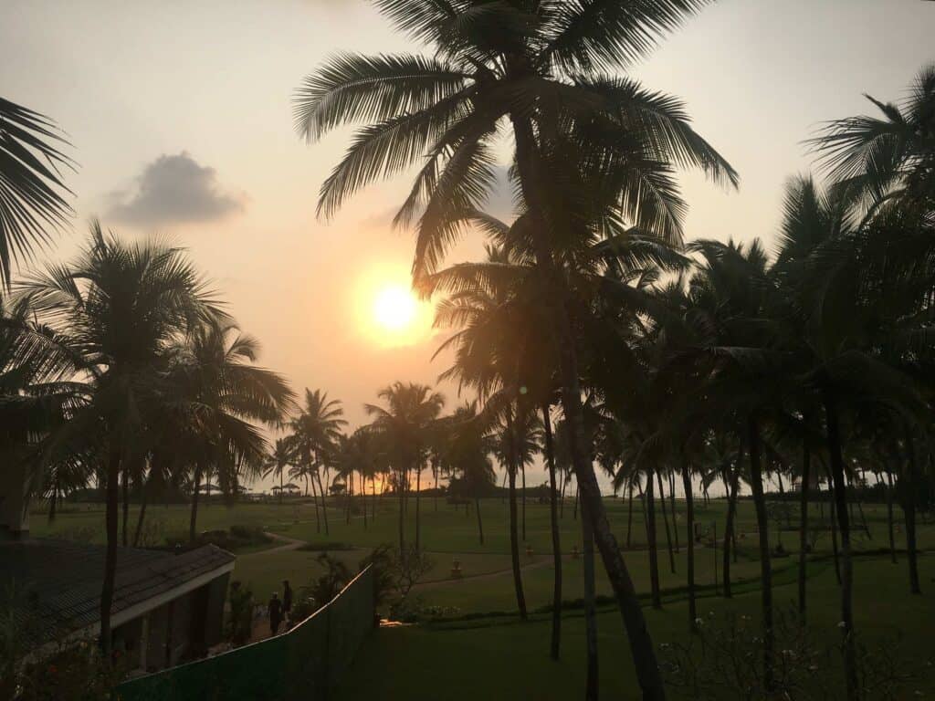 Sunset over the beach with lots of palm trees at Taj Exotica Resort in Goa.