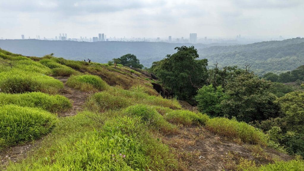 View from a hike in Sanjay Gandhi National Park with the green rolling hills in the front and the Mumbai skyline in the distance.