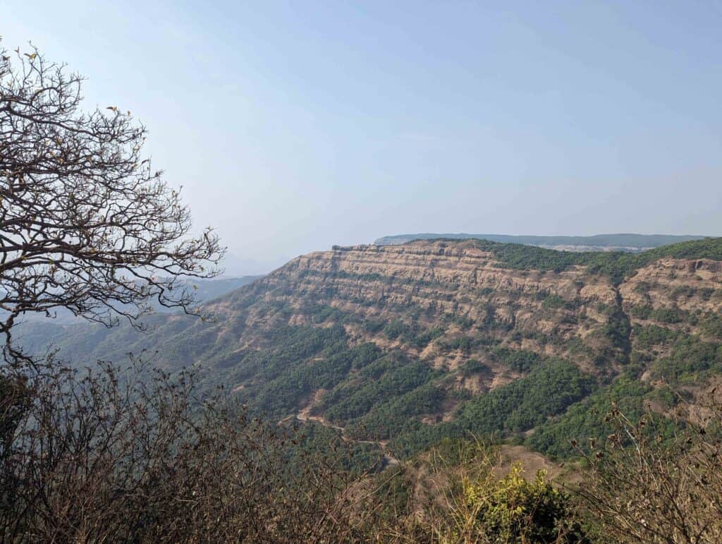 Scenic view of Mahabaleshwar plateau surrounded by lush greenery and natural beauty with a tree on the left and blue sky in the background.