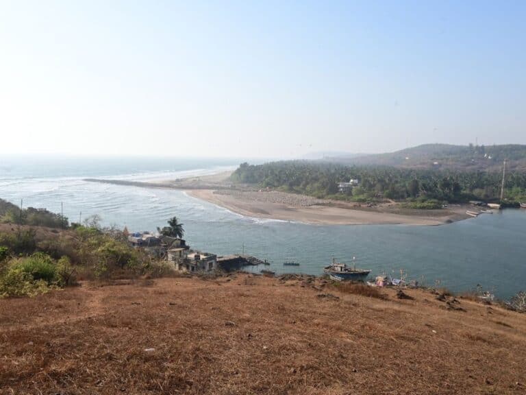 View of the Konkan Coast with green and brown shrubs on the hill leading down to a river that opens up to the ocean with a sandy beach.