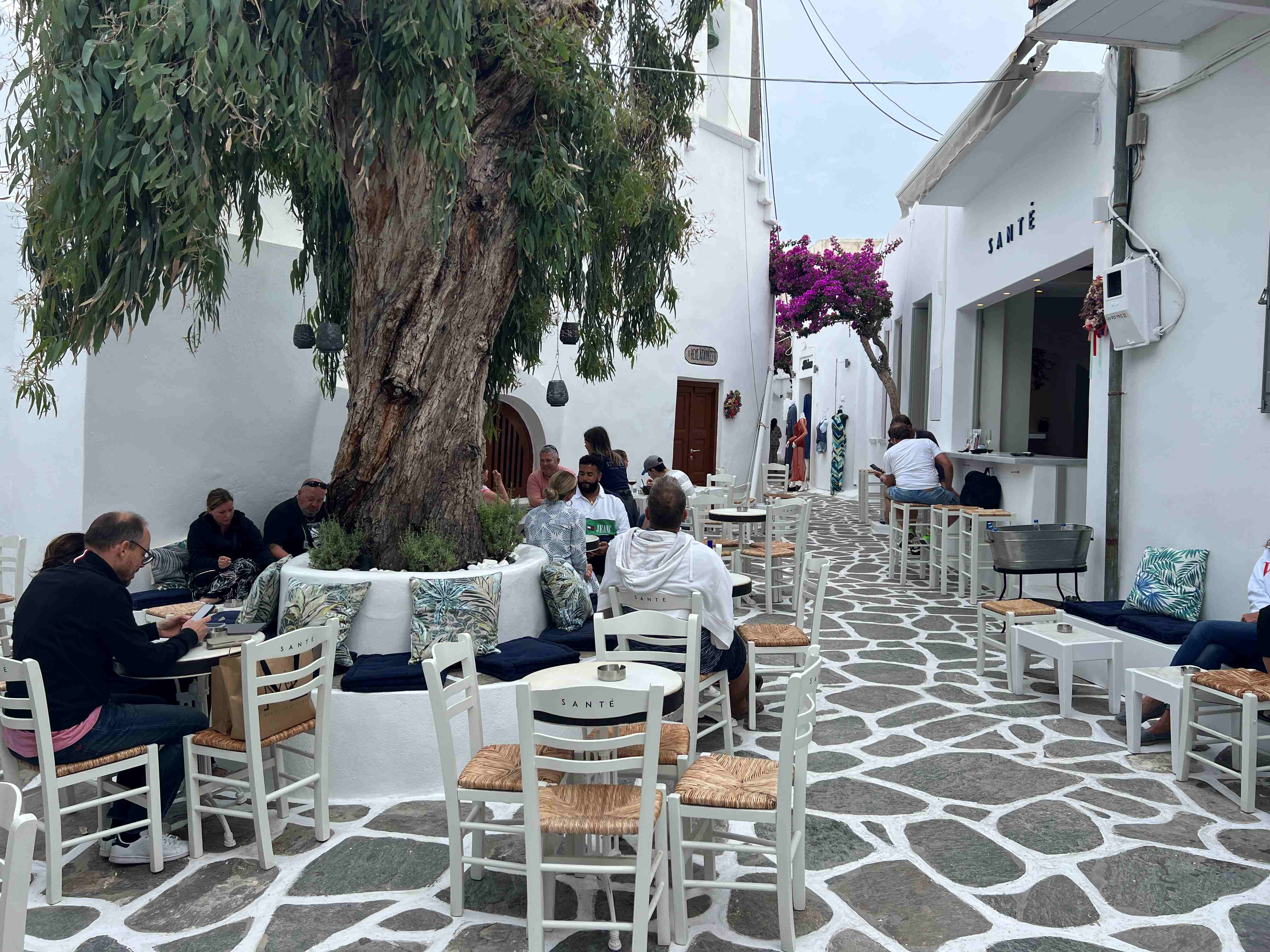 Charming outdoor café scene at Santé in Paros, Greece, with whitewashed walls, cobblestone pathways, and cozy seating around a large tree. Patrons sit on white chairs and cushioned benches, enjoying the relaxed atmosphere under the shade of the tree. Bougainvillea blooms add a splash of vibrant pink to the scene, exemplifying the traditional Greek aesthetic.