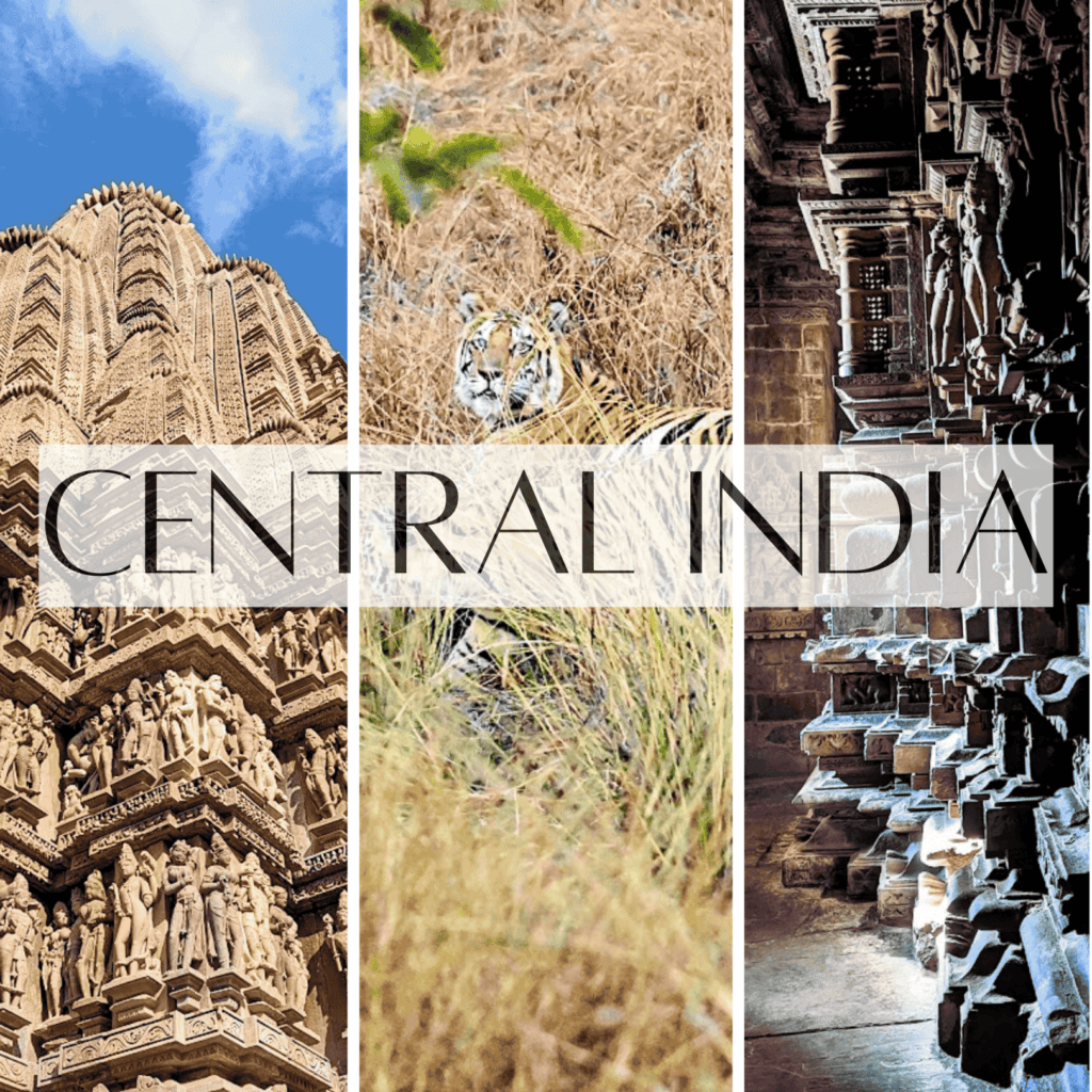 A collage of 3 images titled 'CENTRAL INDIA' featuring three scenes - intricate carvings on a temple spire photographed against a blue sky, a tiger's face peering through dry grass, and a darkened temple interior showing ornate architectural details and carved pillars.