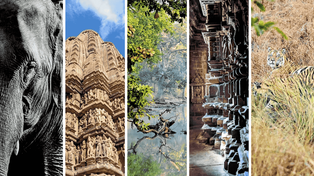 Collage of 5 pictures showcasing Central India: close-up of an elephant, intricate carvings on a Khajuraho temple, serene forested lake, ancient temple corridors, and a tiger camouflaged in dry grass