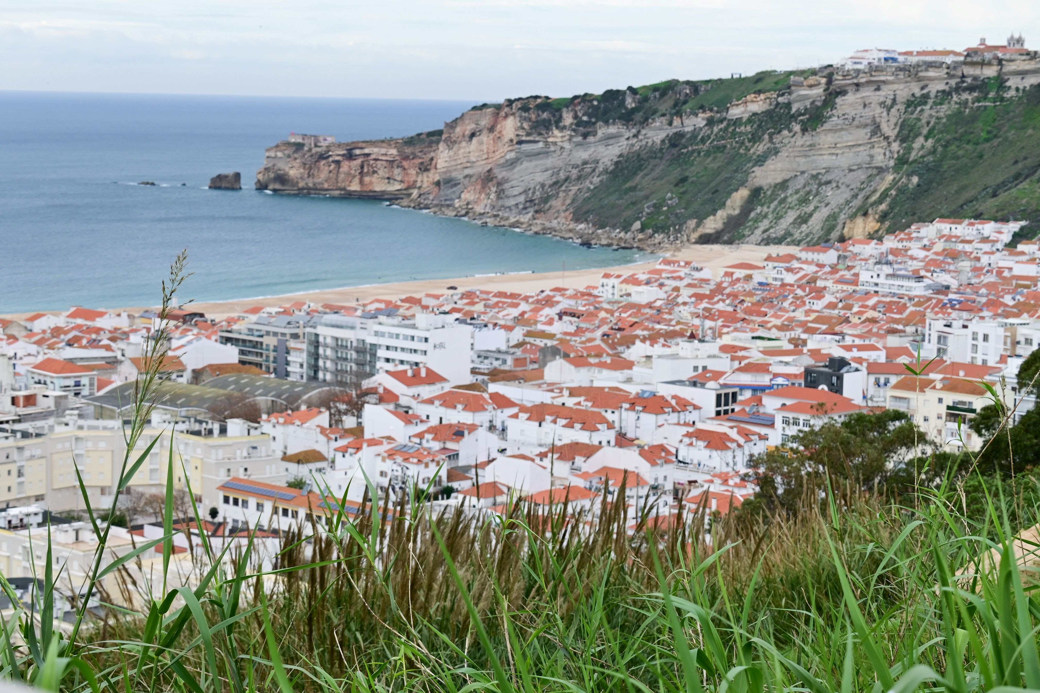 Nazaré, Portugal viewed from above, showing the town's white buildings with terracotta roofs nestled between dramatic coastal cliffs and a sandy beach. Tall grass frames the foreground.